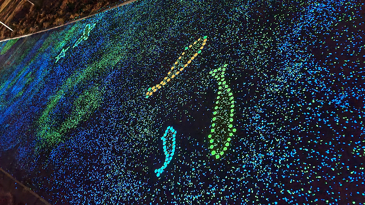 1745212293879-10.jpg